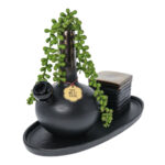 WTR SWP MBV 019 WTR SWP MBV 019