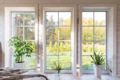 Window French doors Outside Plants